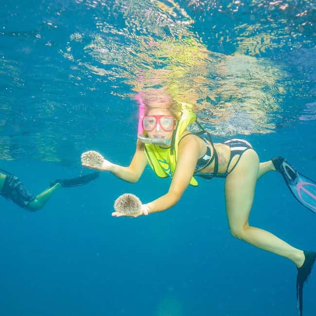 Snorkeling in Montego Bay with Transportation - Key points to know before booking