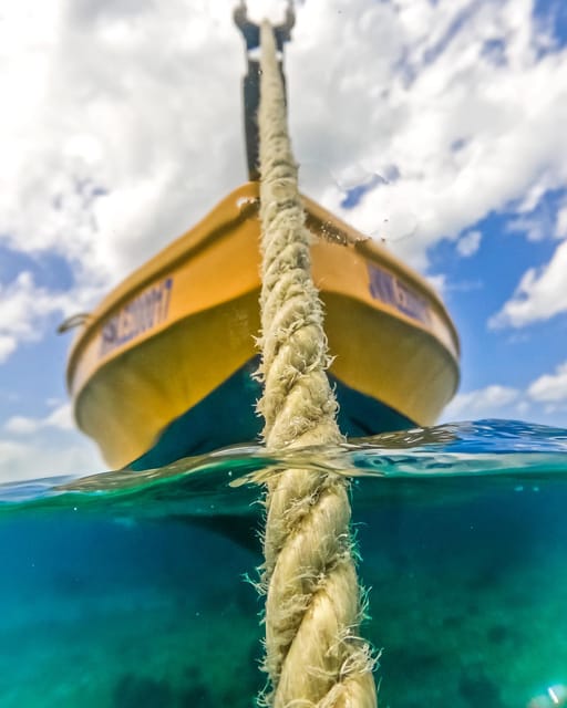 Snorkeling in Montego Bay with Transportation - Who will get the most from this outing