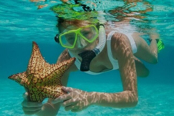 Snorkeling with Margaritaville and shops on Hipstrip activity - Key points to know before you book