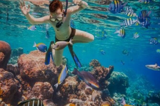 Snorkeling with Margaritaville and shops on Hipstrip activity - A simple three-hour plan in Montego Bay