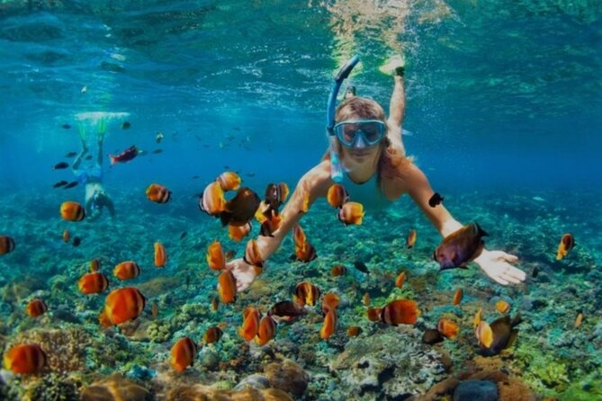 Snorkeling with Margaritaville and shops on Hipstrip activity - Getting ready near Doc Cove Beach