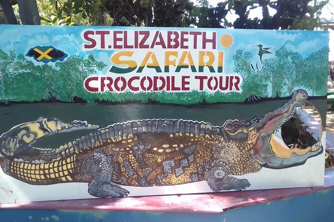 South Coast Cultural Tour History and Nature - Watching crocodiles on the Black River