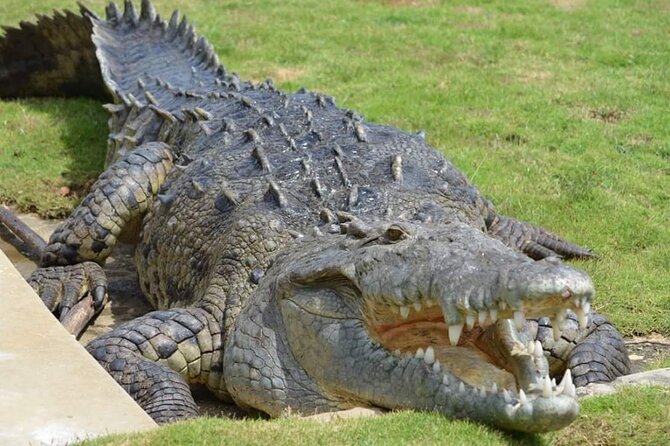 South Coast Cultural Tour History and Nature - Is $360 per person a fair price?