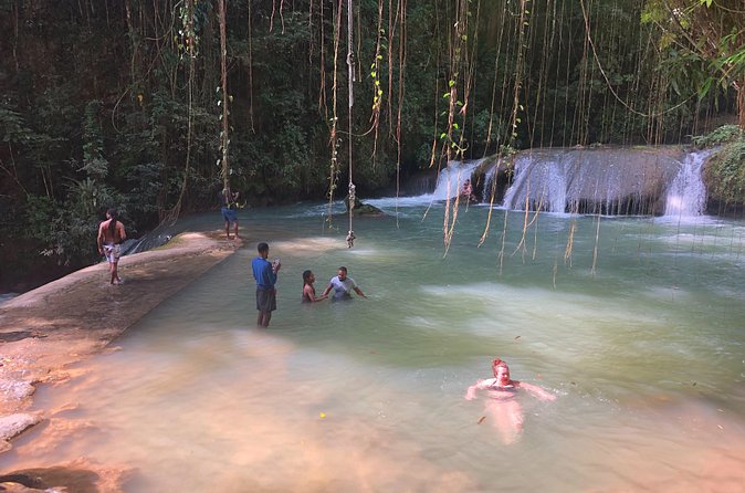 South Coast Jamaica YS Falls Tour - What your driver adds to the day