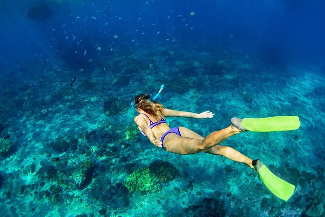 Sunset Catamaran cruise, Snorkeling and Rick's Cafe from Mobay - Sunset and cliff jumping at Rick’s Cafe