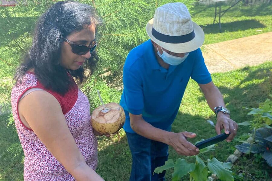 Taste of Jamaica Farm & Food Tour - Should you book Taste of Jamaica?