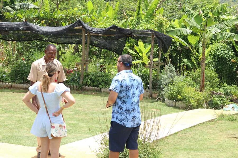 Taste of Jamaica Farm & Food Tour - Meeting Elizabeth and Lascelles at Taste of Jamaica