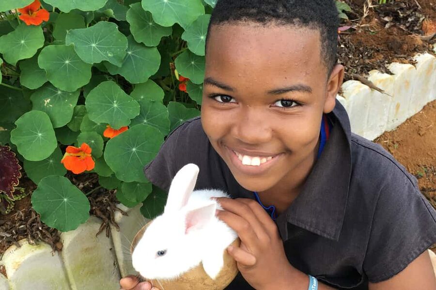 Taste of Jamaica Farm & Food Tour - Coffee, fruit trees, and farm animals