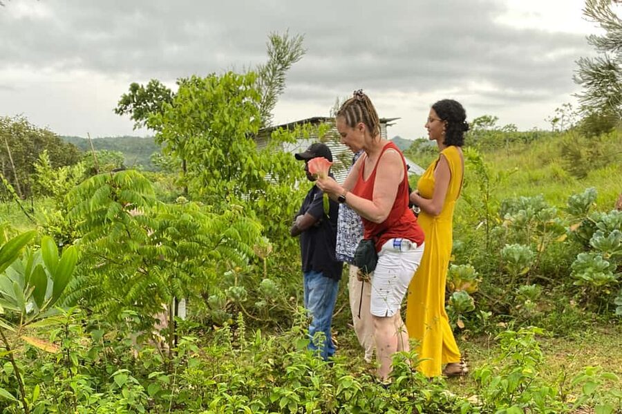 Taste of Jamaica Farm & Food Tour - Who will enjoy this farm tour most