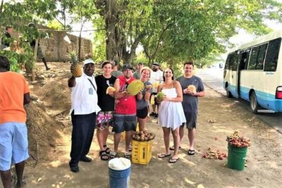 Taste of Jamaica Food Tour from Ocho Rios