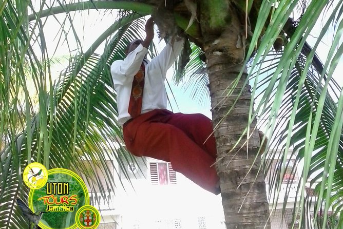 The AMAZING Montego Bay Tour - Seeing Montego Bay through a local guide