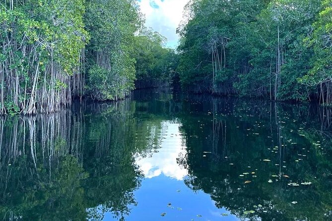 Tour to Black River and YS Falls - The Vehicle Matters on an 8.5-Hour Day