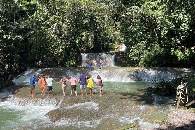 Tour to Black River and YS Falls - Black River: Crocodiles Among the Mangroves