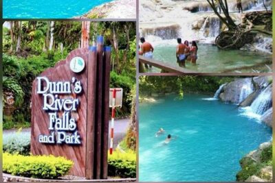 VIP Dunn River Falls and Blue Hole Experience