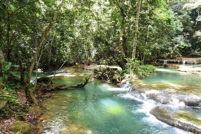 YS Falls and Appleton Estate Private Rum Tour - What the $220 price really covers