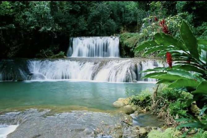YS Falls and Appleton Estate Private Rum Tour - Comfort, pace, and the private format