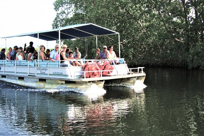 YS Falls and Black River Safari Guided Tour from Montego Bay and Grand Palladium - From Montego Bay into Jamaica’s farming country