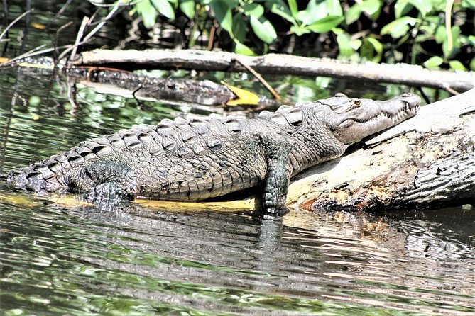 YS Falls and Black River Safari Guided Tour from Montego Bay and Grand Palladium - Who will enjoy this day most
