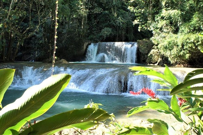 YS Falls and Black River Safari Guided Tour from Montego Bay and Grand Palladium - Useful planning advice for the morning