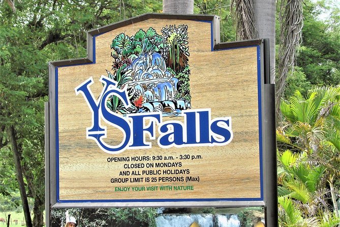 YS Falls and Black River Safari Guided Tour from Montego Bay and Grand Palladium - Should you book the YS Falls and Black River tour?