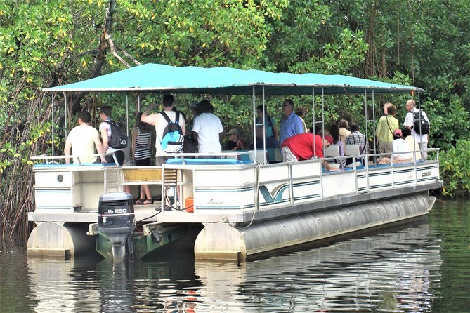 YS Falls and Black River Safari Guided Tour from Montego Bay and Grand Palladium - YS Falls, seven levels of water and forest