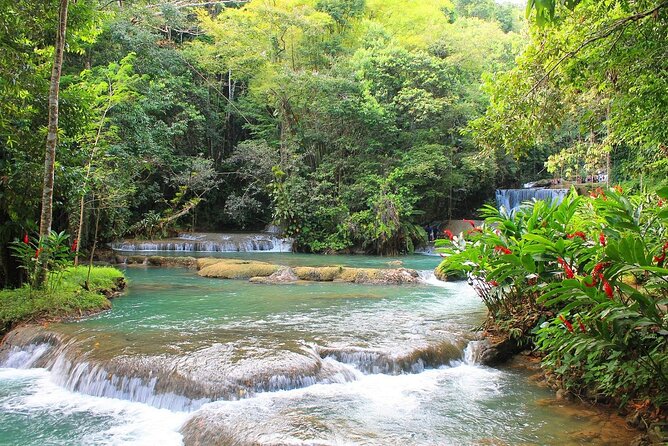 YS Falls and Black River Safari South Coast from Negril Jamaica - Key points at a glance