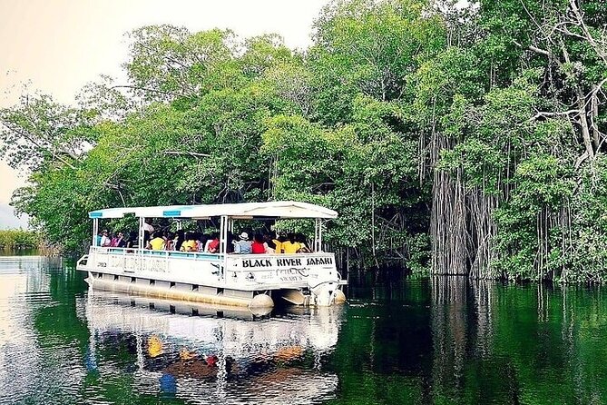 YS Falls and Black River Safari South Coast from Negril Jamaica - Timing, food, and small planning choices