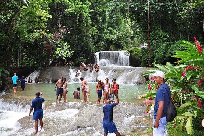 YS Falls and The Pelican Bar Adventure Tour from Negril - Two very different sides of Jamaica in one day