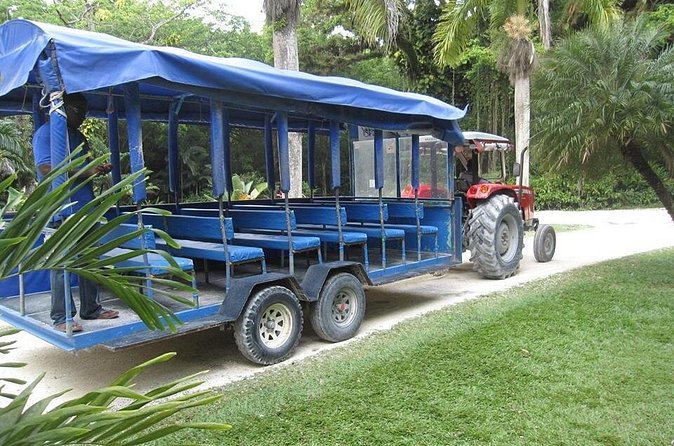 YS Falls and The Pelican Bar Adventure Tour from Negril - A private day with room for personal attention