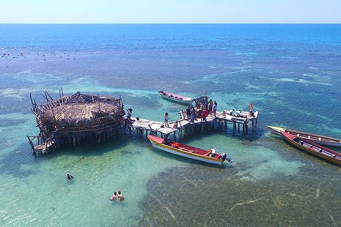 YS Falls and The Pelican Bar Adventure Tour from Negril - Who will enjoy this tour most