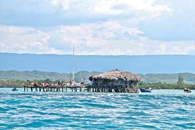 YS Falls and The Pelican Bar Adventure Tour from Negril - Should you book the YS Falls and Pelican Bar tour?