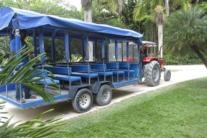 YS Falls and The Pelican Bar Adventure Tour from Negril - The ride to Floyd’s Pelican Bar