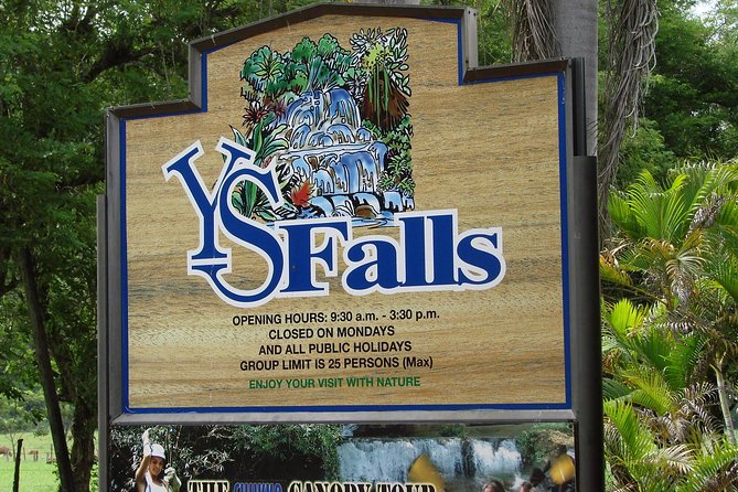 YS Falls, Black River Safari, and Floyd's Pelican Bar Day-Trip (Transportation) - Black River Safari: a slower hour on the water