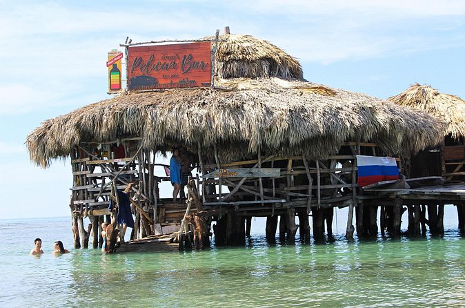 YS Falls, Black River Safari, and Floyd's Pelican Bar Day-Trip (Transportation) - Who should book this Jamaica south coast trip?
