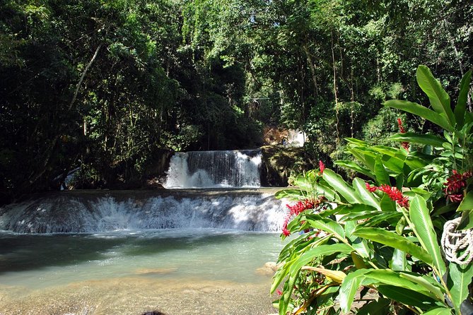 YS Falls, Black River Safari, Appleton Rum Tour OR Pelican Bar (Choose Up to 3) - A full day on Jamaica’s South Coast