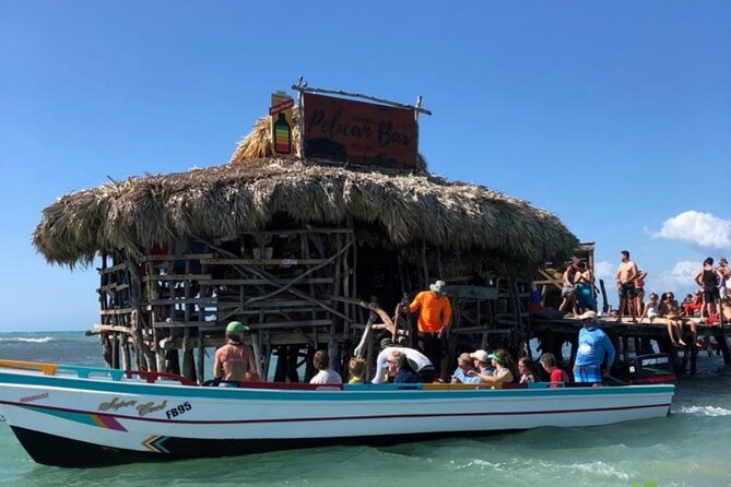 YS Falls, Black River Safari, Appleton Rum Tour OR Pelican Bar (Choose Up to 3) - Appleton Estate, Jamaica’s rum-making lesson