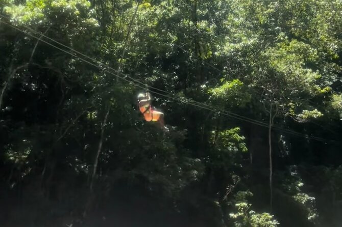YS Falls, Black River Safari, Appleton Rum Tour OR Pelican Bar (Choose Up to 3) - Why choosing three can make or break the day