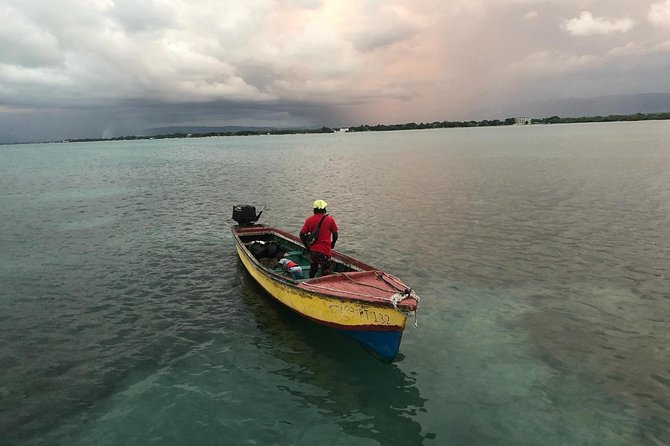 YS Falls, Black River Safari, Floyd’s Pelican Bar - Key points to know before booking