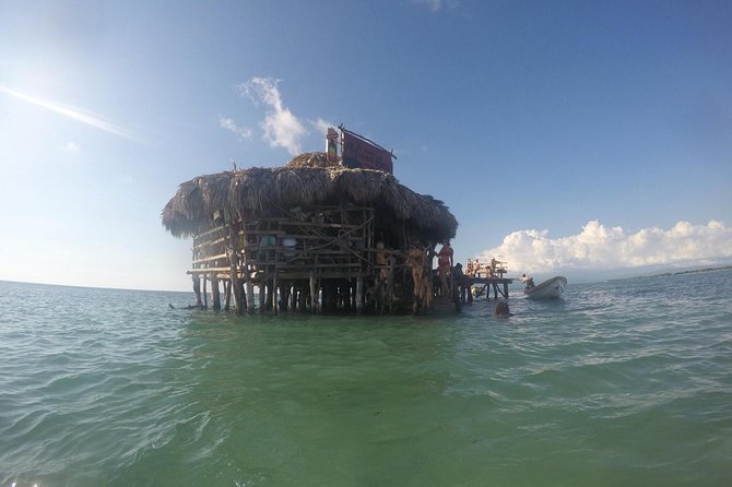 YS Falls, Black River Safari, Floyd’s Pelican Bar - The Black River boat safari and its crocodiles