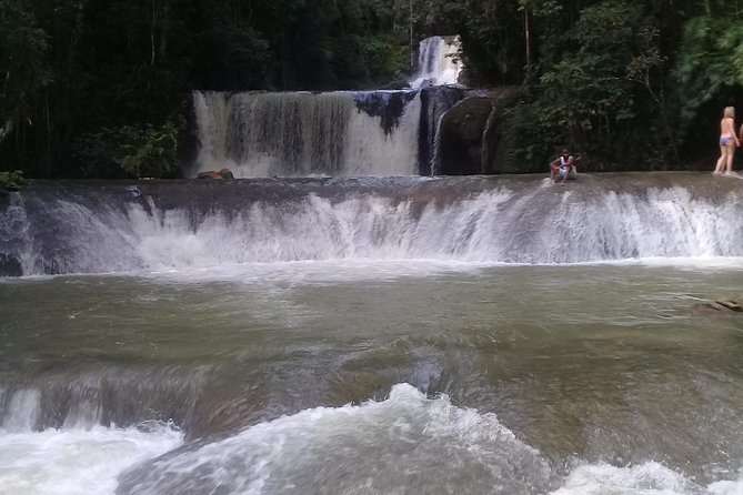 YS Falls & Pelican Bar Tour - The local color between the main stops