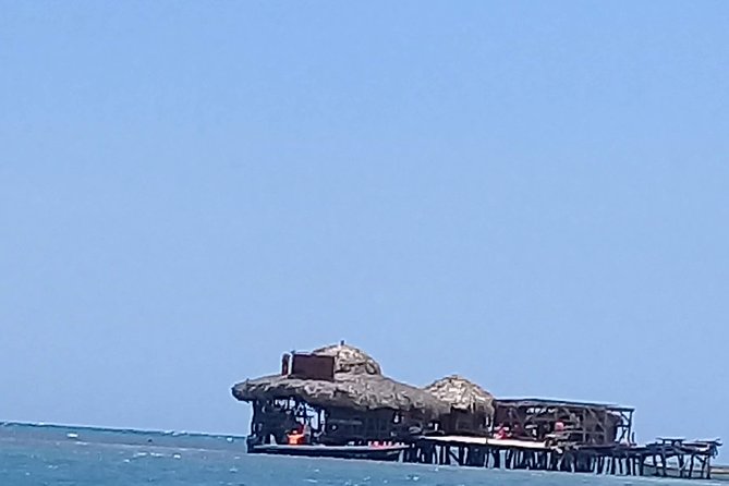 YS Falls & Pelican Bar Tour - Who will enjoy this outing most?