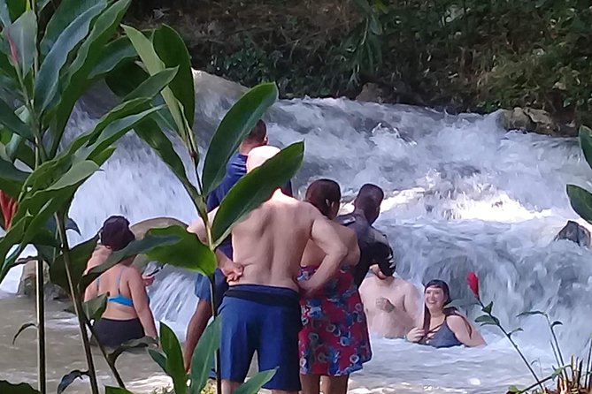 YS Falls & Pelican Bar Tour - What the private vehicle adds