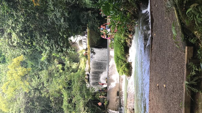YS Falls Private Full-Day Adventure Tour with Pickup - Seven waterfalls, pools, and rocky viewing areas