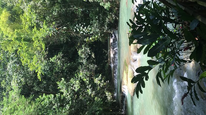 YS Falls Private Full-Day Adventure Tour with Pickup - Canopy rides from the falls to the base