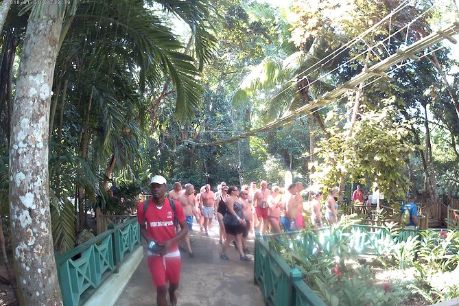 Zip Line over the Dunns River Falls - Key points to know before booking