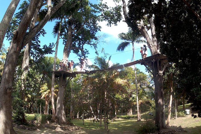 Zip Line over the Dunns River Falls - A short ride followed by Jamaica’s famous falls