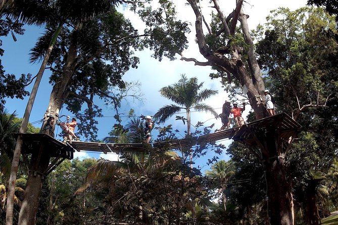Zip Line over the Dunns River Falls - What four zip lines actually feel like