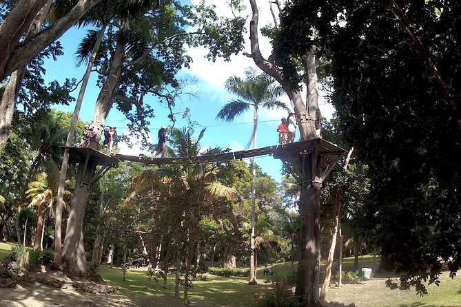 Zip Line over the Dunns River Falls - Why the private format matters