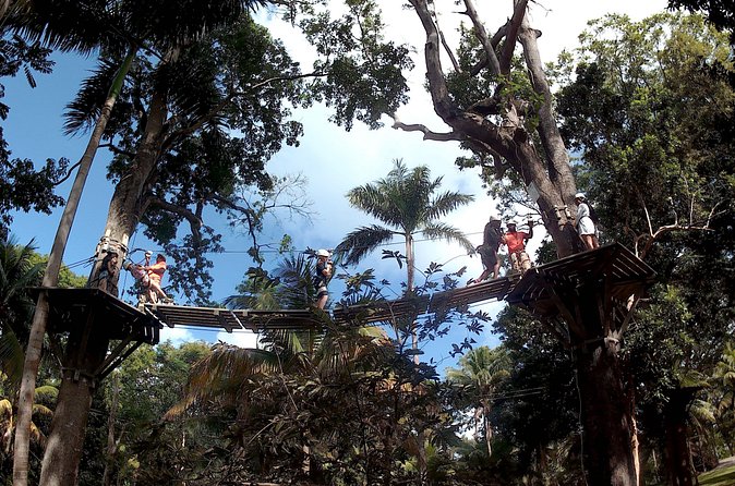 Zip Line over the Dunns River Falls - What can go wrong