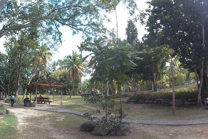 Zip Line over the Dunns River Falls - Who will enjoy this half-day outing